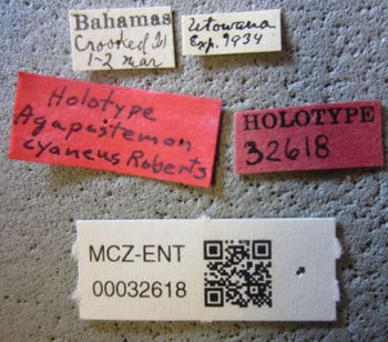 Media type: image; Entomology 32618   Aspect: labels